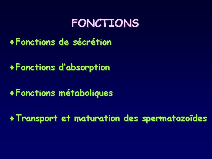 FONCTIONS ¨Fonctions de sécrétion ¨Fonctions d’absorption ¨Fonctions métaboliques ¨Transport et maturation des spermatozoïdes 