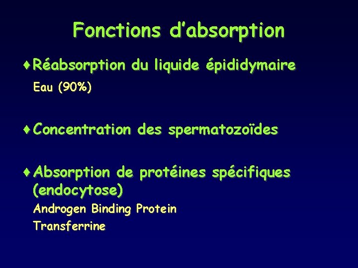 Fonctions d’absorption ¨Réabsorption du liquide épididymaire Eau (90%) ¨Concentration des spermatozoïdes ¨Absorption de protéines