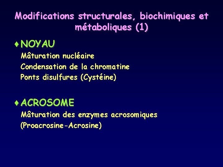 Modifications structurales, biochimiques et métaboliques (1) ¨NOYAU Mâturation nucléaire Condensation de la chromatine Ponts