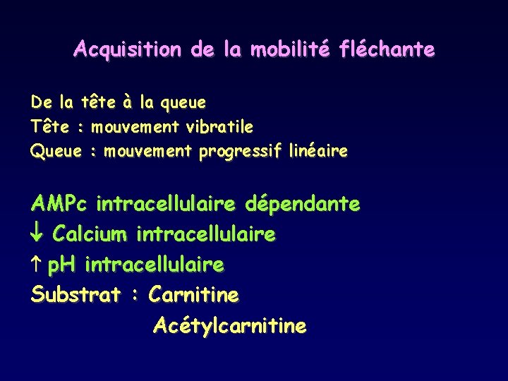 Acquisition de la mobilité fléchante De la tête à la queue Tête : mouvement