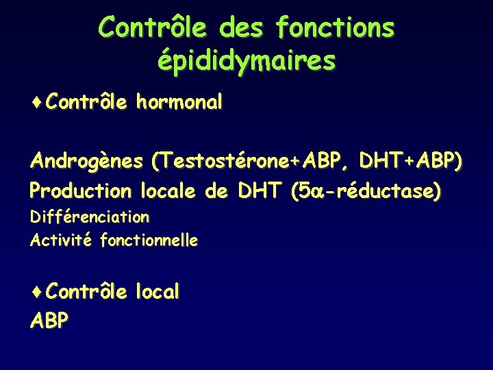 Contrôle des fonctions épididymaires ¨Contrôle hormonal Androgènes (Testostérone+ABP, DHT+ABP) Production locale de DHT (5