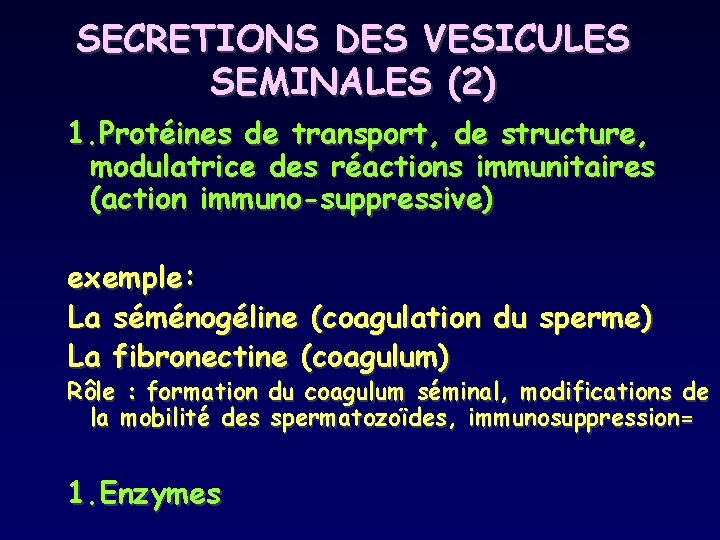 SECRETIONS DES VESICULES SEMINALES (2) 1. Protéines de transport, de structure, modulatrice des réactions