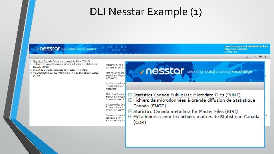 DLI Nesstar Example (1) 