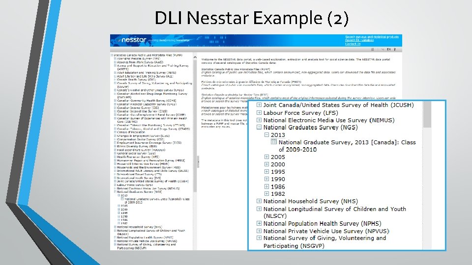 DLI Nesstar Example (2) 