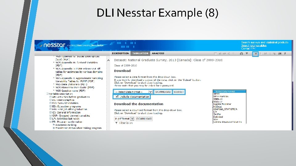 DLI Nesstar Example (8) 