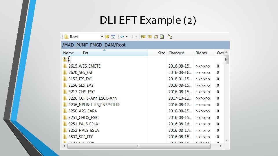 DLI EFT Example (2) 