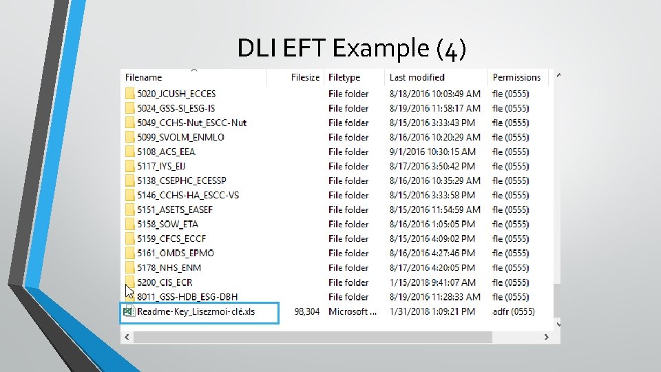 DLI EFT Example (4) 