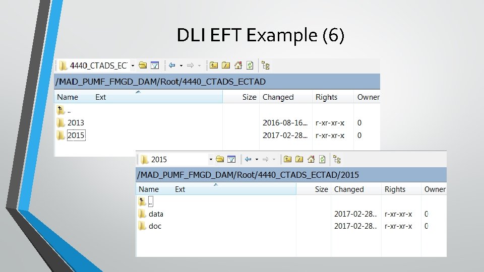 DLI EFT Example (6) 