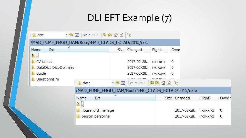 DLI EFT Example (7) 