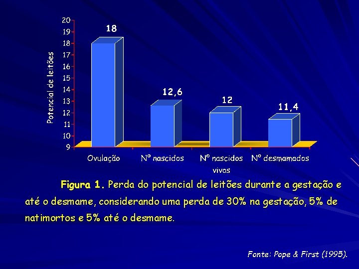 Figura 1. Perda do potencial de leitões durante a gestação e até o desmame,