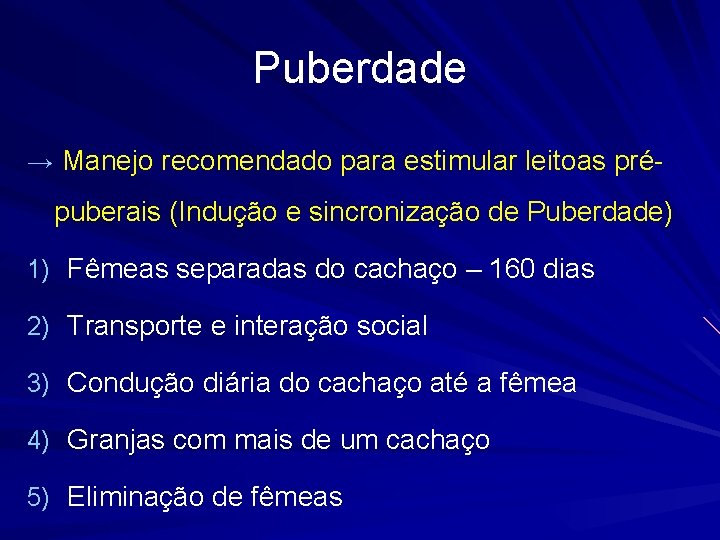 Puberdade → Manejo recomendado para estimular leitoas pré- puberais (Indução e sincronização de Puberdade)