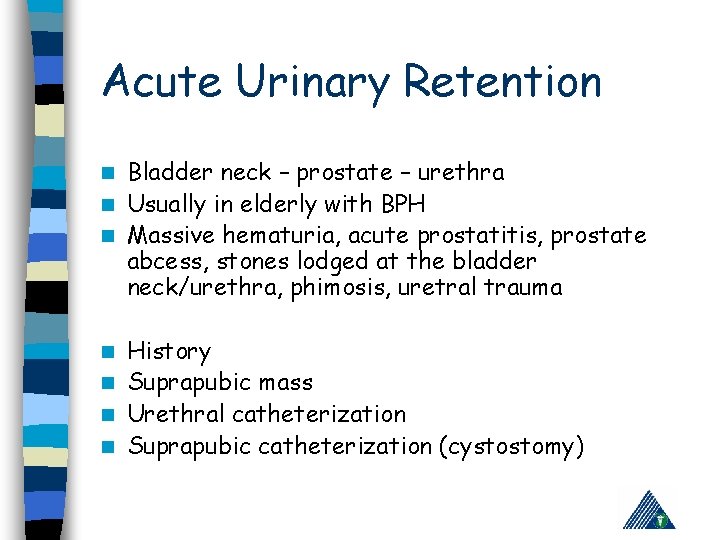 Acute Urinary Retention Bladder neck – prostate – urethra n Usually in elderly with