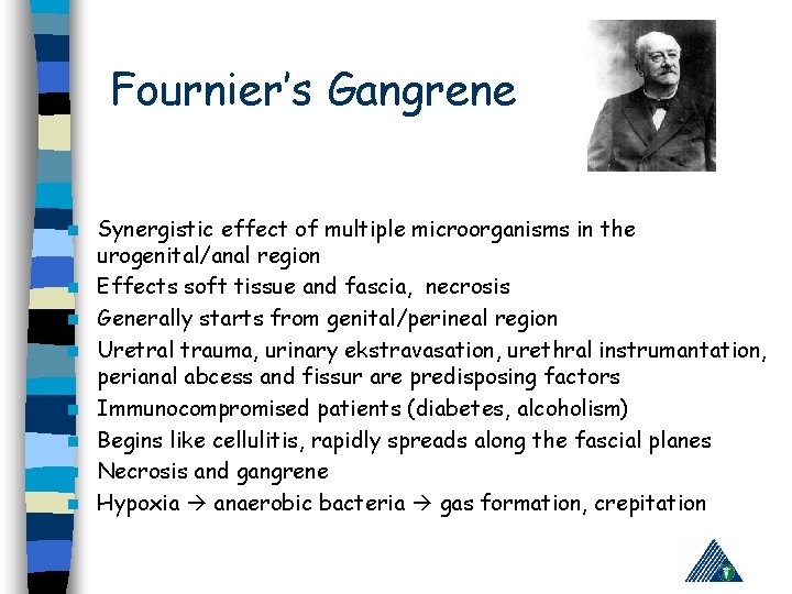 Fournier’s Gangrene n n n n Synergistic effect of multiple microorganisms in the urogenital/anal