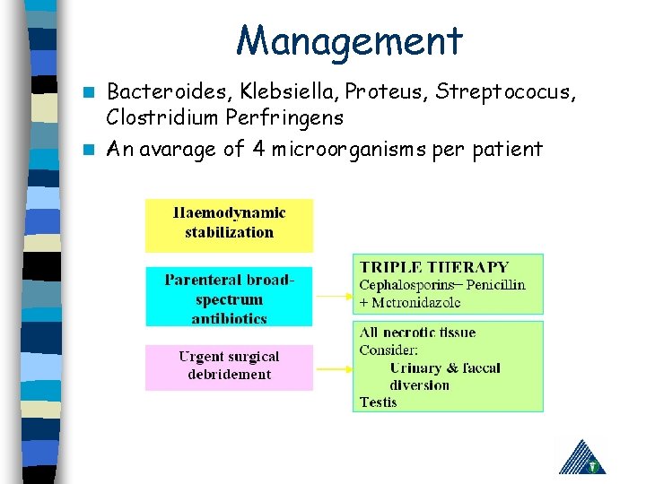 Management Bacteroides, Klebsiella, Proteus, Streptococus, Clostridium Perfringens n An avarage of 4 microorganisms per