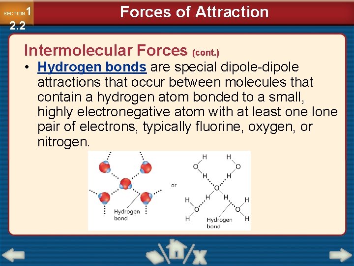 1 2. 2 SECTION Forces of Attraction Intermolecular Forces (cont. ) • Hydrogen bonds