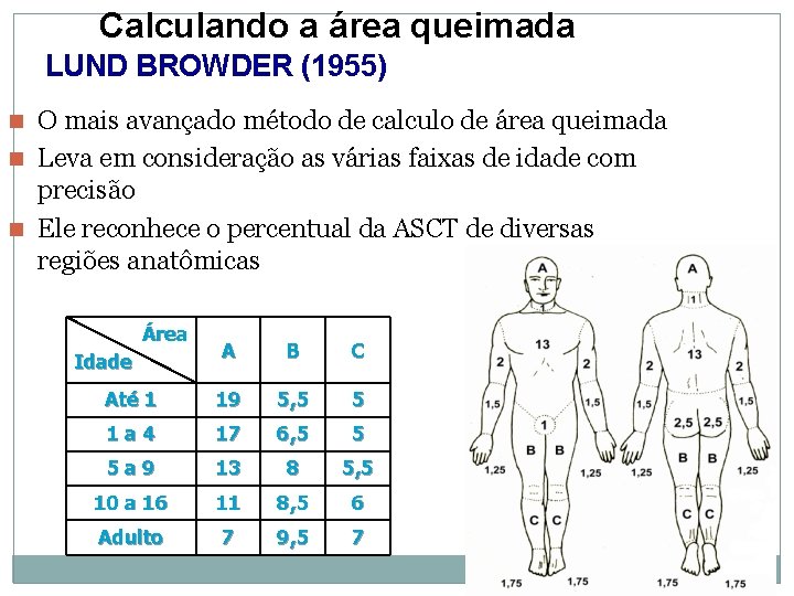 Calculando a área queimada LUND BROWDER (1955) O mais avançado método de calculo de