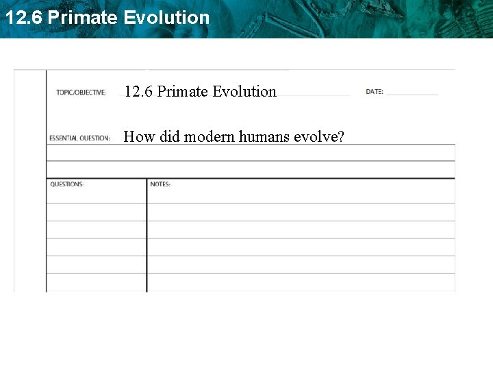 12. 6 Primate Evolution How did modern humans evolve? 