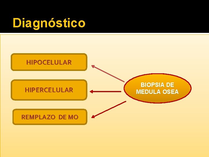 Diagnóstico HIPOCELULAR HIPERCELULAR REMPLAZO DE MO BIOPSIA DE MEDULA OSEA 