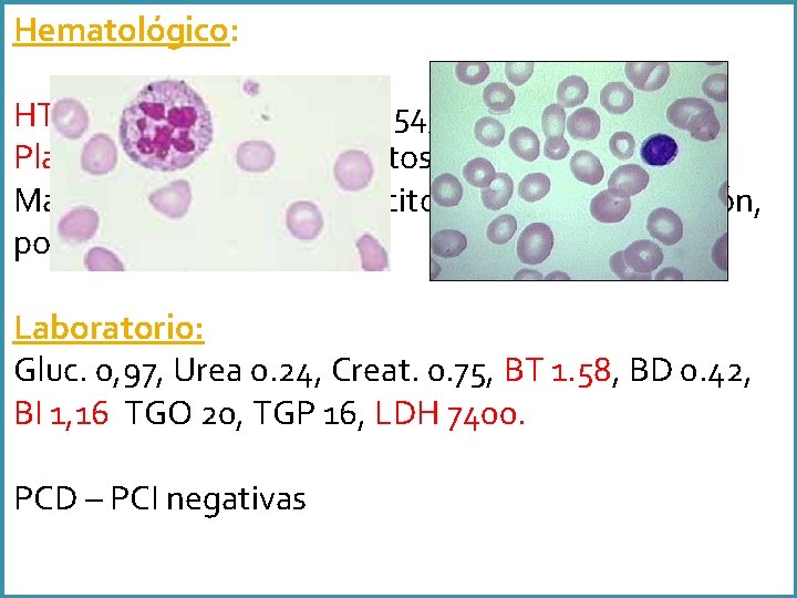 Hematológico: HTO 12%, GB 2600 ( C 2, S 54, L 36, M 4,