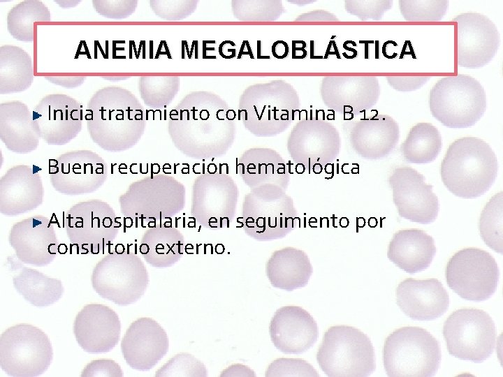 ANEMIA MEGALOBLÁSTICA Inicia tratamiento con Vitamina B 12. Buena recuperación hematológica Alta hospitalaria, en