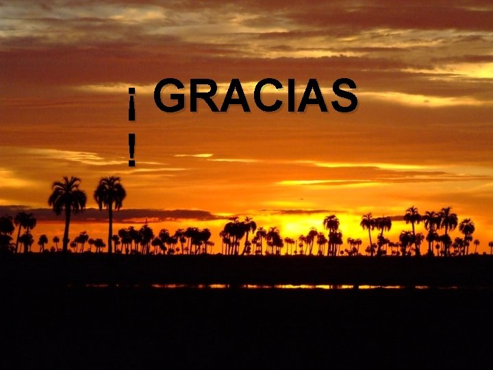 ¡ GRACIAS ! 