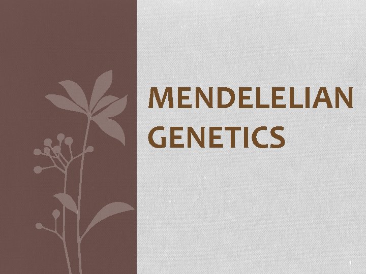 MENDELELIAN GENETICS 1 
