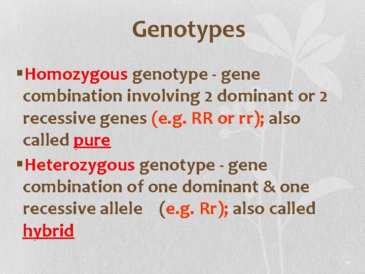 Genotypes §Homozygous genotype - gene combination involving 2 dominant or 2 recessive genes (e.