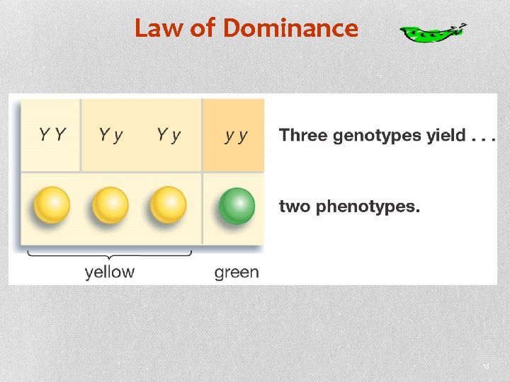 Law of Dominance 13 