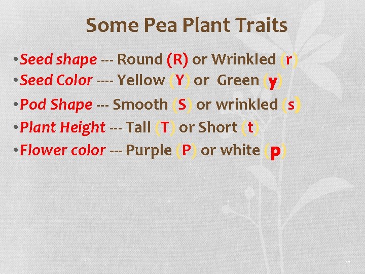 Some Pea Plant Traits • Seed shape --- Round (R) or Wrinkled (r) •
