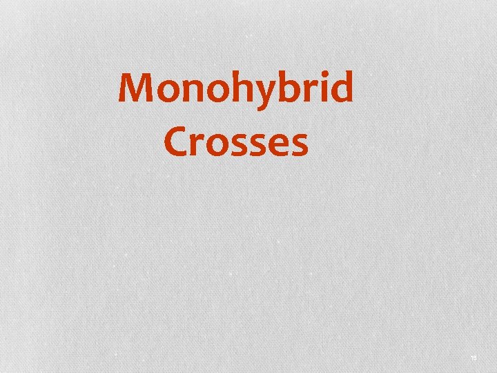 Monohybrid Crosses 19 