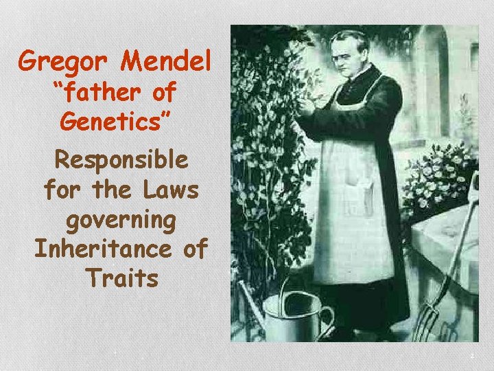 Gregor Mendel “father of Genetics” Responsible for the Laws governing Inheritance of Traits 2