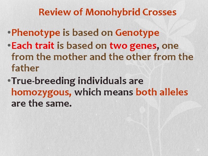 Review of Monohybrid Crosses • Phenotype is based on Genotype • Each trait is