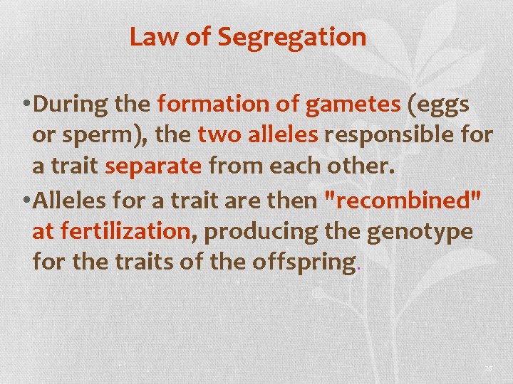 Law of Segregation • During the formation of gametes (eggs or sperm), the two