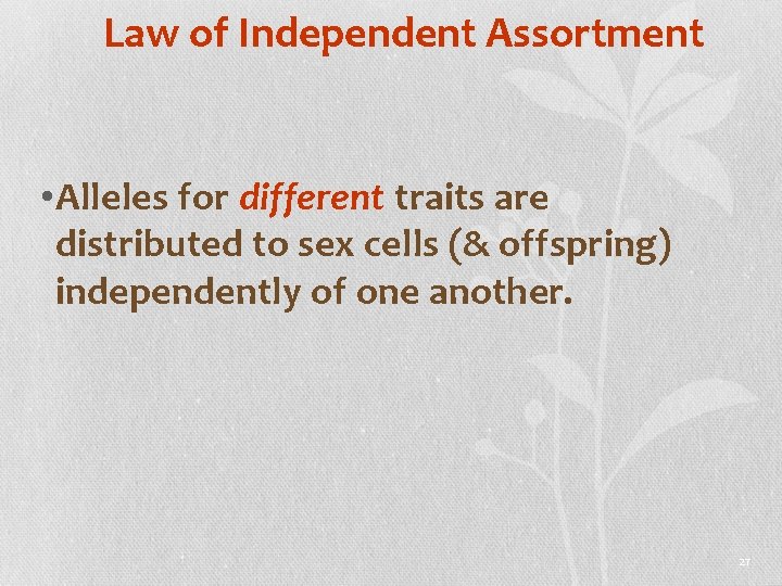 Law of Independent Assortment • Alleles for different traits are distributed to sex cells