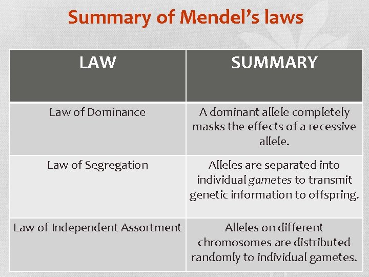 Summary of Mendel’s laws LAW SUMMARY Law of Dominance A dominant allele completely masks