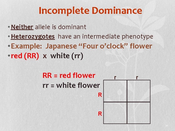 Incomplete Dominance • Neither allele is dominant • Heterozygotes have an intermediate phenotype •