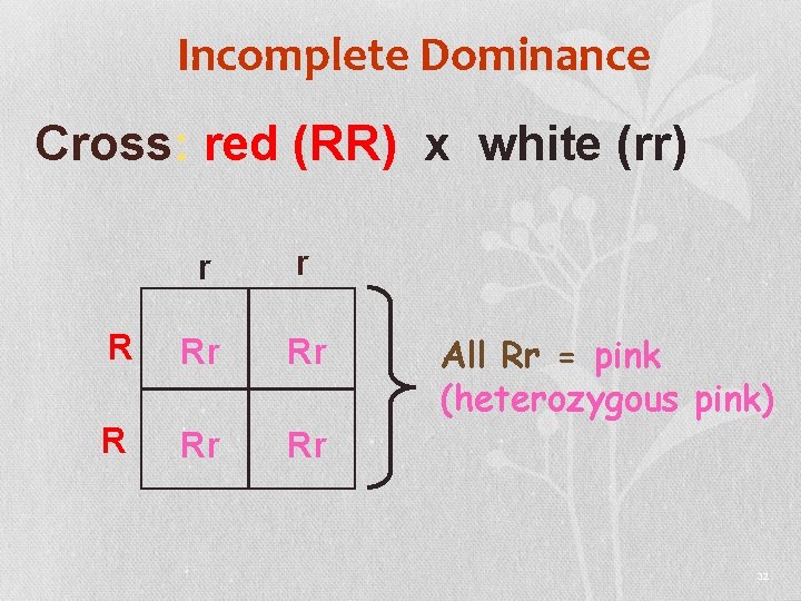 Incomplete Dominance Cross: red (RR) x white (rr) r r R Rr Rr All