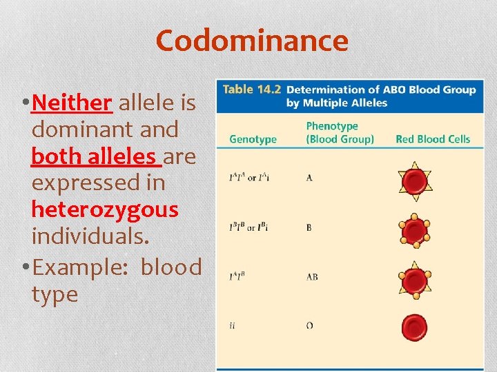 Codominance • Neither allele is dominant and both alleles are expressed in heterozygous individuals.