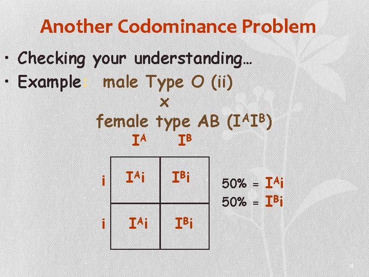 Another Codominance Problem • Checking your understanding… • Example: male Type O (ii) x