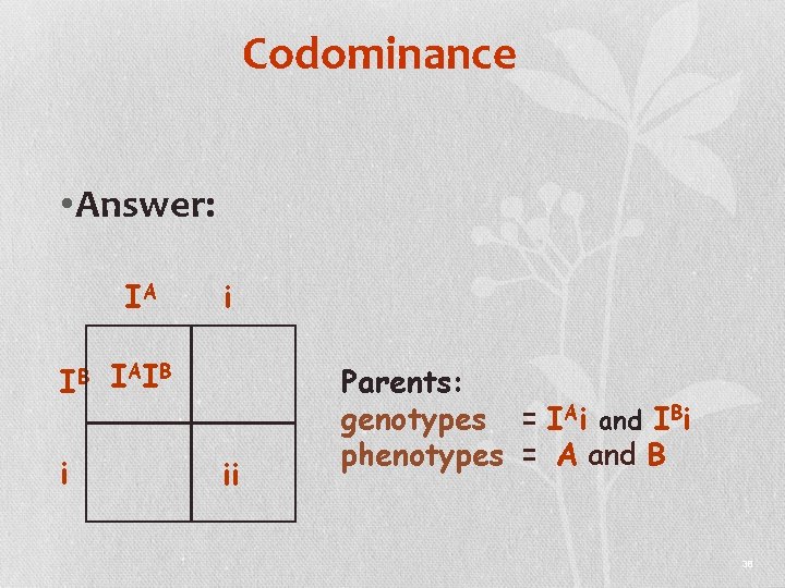 Codominance • Answer: IA IB i i I AI B ii Parents: genotypes =