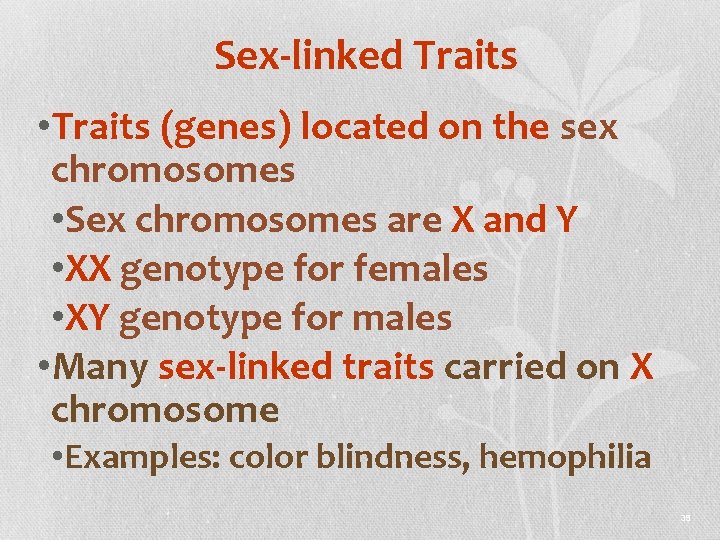 Sex-linked Traits • Traits (genes) located on the sex chromosomes • Sex chromosomes are