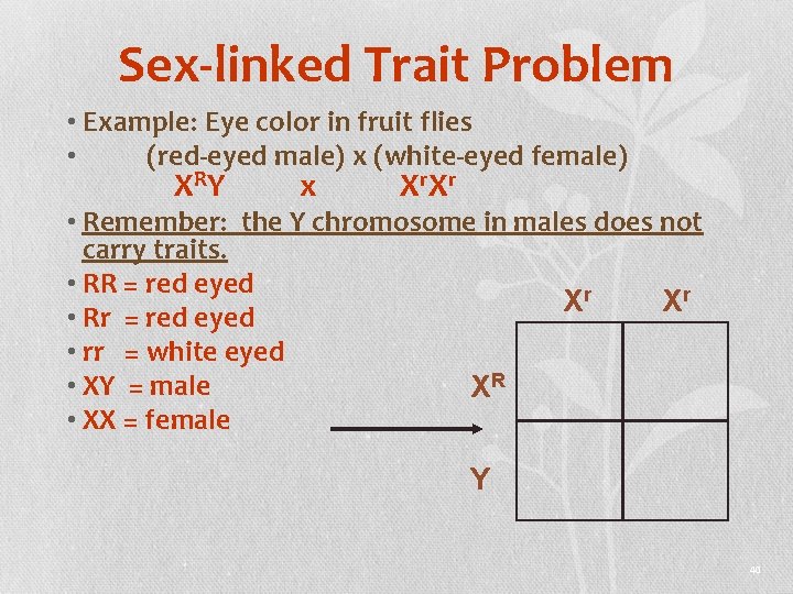 Sex-linked Trait Problem • Example: Eye color in fruit flies • (red-eyed male) x