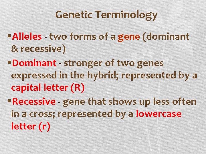 Genetic Terminology §Alleles - two forms of a gene (dominant & recessive) §Dominant -