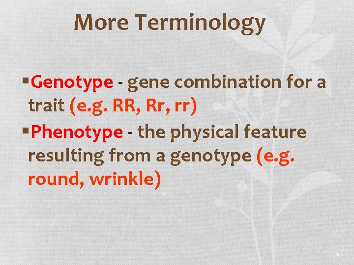 More Terminology §Genotype - gene combination for a trait (e. g. RR, Rr, rr)