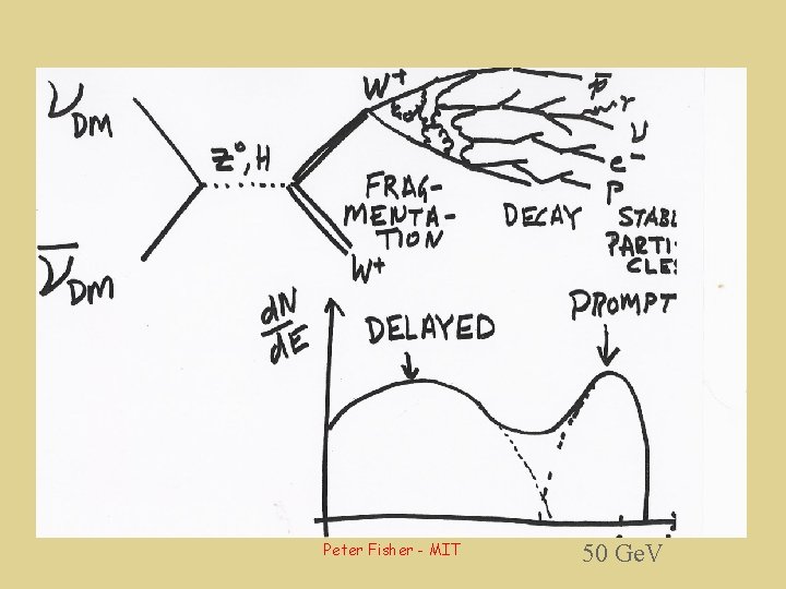 Peter Fisher - MIT 50 Ge. V 