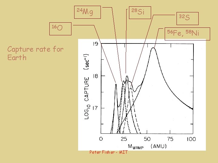 24 Mg 16 O 28 Si 32 S 56 Fe, 58 Ni Capture rate