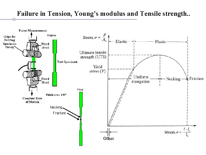 Failure in Tension, Young’s modulus and Tensile strength. . Original Final Necking Fracture 