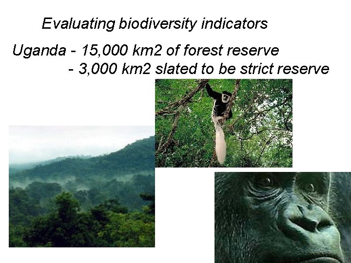 Evaluating biodiversity indicators Uganda - 15, 000 km 2 of forest reserve - 3,