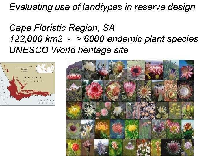 Evaluating use of landtypes in reserve design Cape Floristic Region, SA 122, 000 km