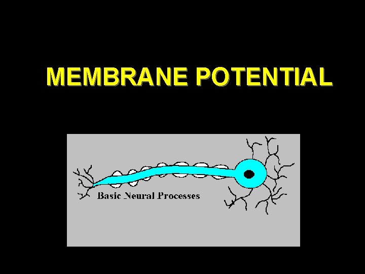 MEMBRANE POTENTIAL 